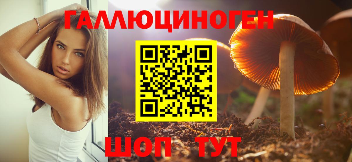 Псилоцибиновые грибы MAGIC MUSHROOMS  как найти   Курчатов  Вход с VPN 